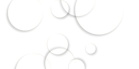 Luxury elegant white and grey background with circle. Modern abstract light silver background vector. .Abstract gray circle lines on white background.. vertical vector template for wedding invitation