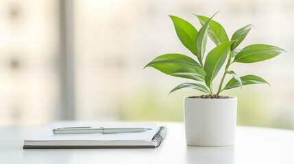 Healthy green plant on white table with small notebook and pen, symbolizing health advice and wellness tips, clean and focused image with copy space for text.	
