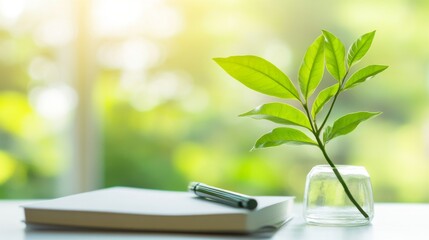 Healthy green plant on white table with small notebook and pen, symbolizing health advice and wellness tips, clean and focused image with copy space for text.	
