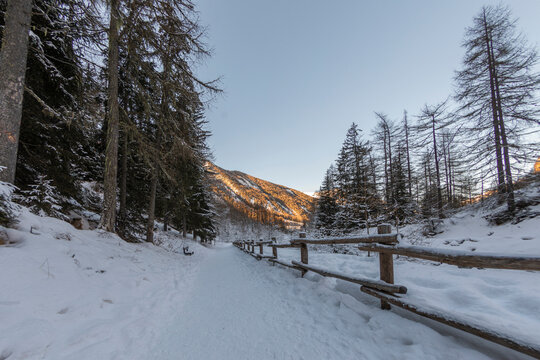 Passeggiata invernale tra pinete e cascate