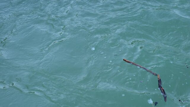 Texture of moving and swirling water coming out under pressure from a hydroelectric power plant. Driftwood is pushed in different directions. Concept of being planless, without goal. 