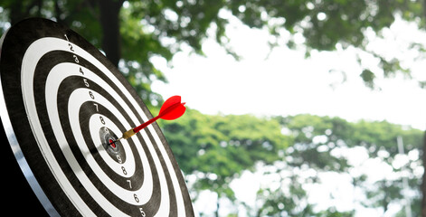 dart on target with trees background