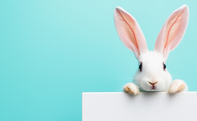 Obraz premium A cute white bunny with long ears peeking over the edge of a surface.