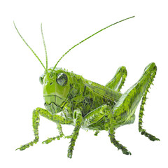 Fototapeta premium A digital rendering depicts a vibrant green glass grasshopper with intricate details showcasing artistic polygonal facets.