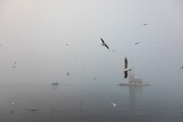 Foggy Maiden's Tower (Kiz Kulesi) Drone Photo, Uskudar Istanbul, Turkiye (Turkey)