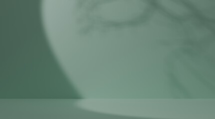 Empty Room Empty Space with cement wall floor background