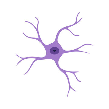 Astrocyte colored icon