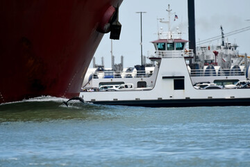Dolphin Swimming Near a Large Ship and Ferry in a Bustling Harbo © Robert