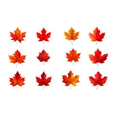 Obraz premium Autumn Maple Leaves Collection: A vibrant collection of twelve individual red and orange maple leaves, perfect for autumnal designs and seasonal projects. 
