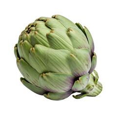 Obraz premium Single Green Artichoke Isolated on White Background