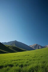 grassy field with mountains in the background