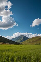 Fototapeta premium grassy field with mountains in the background and a blue sky