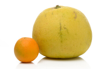 Unique citrus display featuring a large pomelo beside a smaller orange on a clean white background