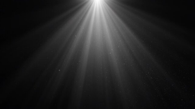 Volume Light from Top in the Dark Seamless. White Lamp Rays Shining on Black Background with Flying Backlit Dust Particles Looped 3d Animation 4k. Design Element for Overlays.