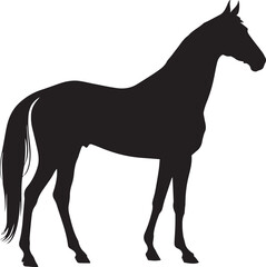 Black silhouette of horse standing isolated vector illustration on white and transparent background