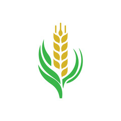 organic wheat grain icon. Vector wheat logo design