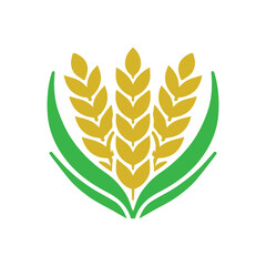 organic wheat grain icon. Vector wheat logo design