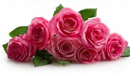 Naklejka premium fresh stunning rose isolated on white history with clipping course