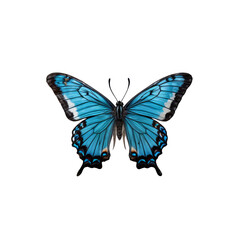 Obraz premium Azure Butterfly Wings: A captivating blue swallowtail butterfly with intricate black and white markings, its wings spread wide in a delicate display of natural artistry. 