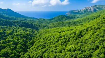 Obraz premium Lush green forest with a blue ocean in the background
