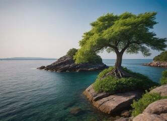 A lone tree grows on a rock in the center of calm water