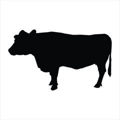 silhouette of a cow