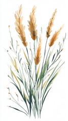 Fototapeta premium Elegant Pampas Grass Watercolor Painting: Serene Botanical Illustration for Modern Home Decor