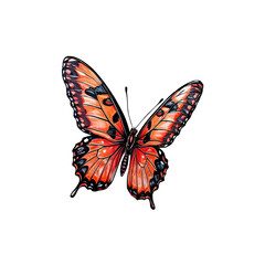 Obraz premium Orange Butterfly in Flight: A vibrant orange butterfly with intricate black markings, its wings spread wide, floats gracefully in mid-air.