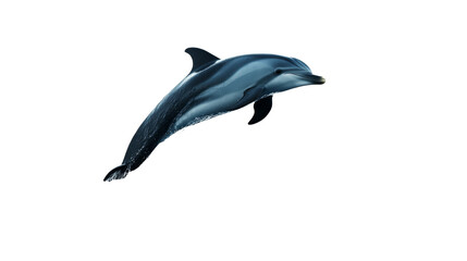 Fototapeta premium Silhouette of a dolphin jumping out of water, isolated on transparent background