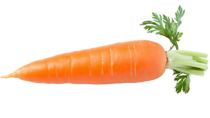 Carrot, isolated on transparent background