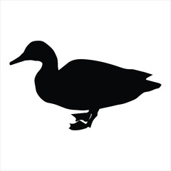 duck SILHOUETTE VECTOR  isolated on white background