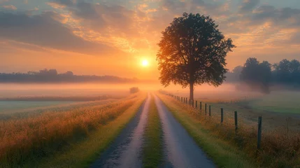 Golden sunrise over a foggy countryside road with a lone tree and an ethereal mood