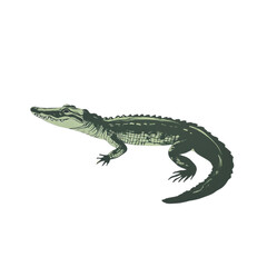 Fototapeta premium A stylized illustration depicts a green alligator in a side profile view against a pale background.