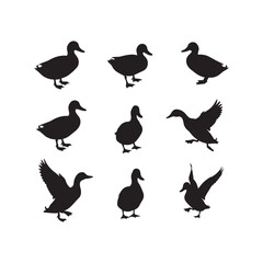 swan birds animals goose cartoon character icon set collection silhouette vector art flat design illustrations