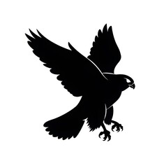 Fototapeta premium eagle in flight