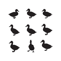 Fototapeta premium swan birds duck animals cartoon character icon set collection silhouette vector art flat design illustrations