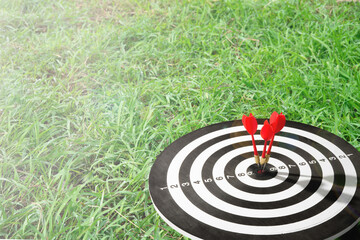 Three arrow on target with grass background