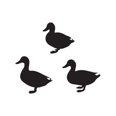 swan birds duck animals cartoon character icon set collection silhouette vector art flat design illustrations