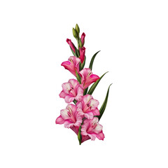 Pink Gladiolus Bouquet: A cluster of elegant pink gladioli, their petals delicately detailed, arranged in a graceful, vertical composition.