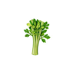 Celery Stalks: A vibrant bunch of fresh celery stalks, with their distinctive green color and crisp texture.