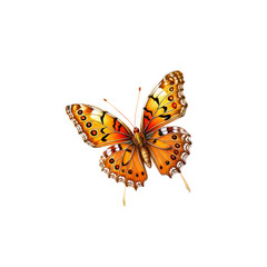 Orange Butterfly in Flight: A vibrant orange butterfly with intricate wing patterns takes flight, showcasing the beauty and delicacy of nature.  