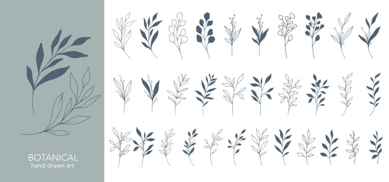 Greenery Line Art. Botanical Background trendy minimalist leaves and branches. Hand drawn floral elements. Floral Line Art Illustration. Luxury Line Floral Art.