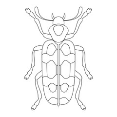 Coloring book of bug, bogger beetle. Doodle insect. Nature and biodiversity insect specie. Beetle vector flat illustration.