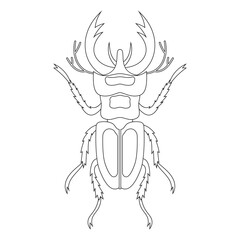 Coloring book of bug, deer beetle. Doodle insect. Nature and biodiversity insect specie. Beetle vector flat illustration.