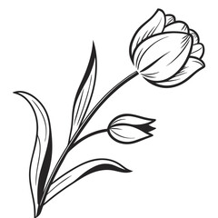 Elegant Floral Silhouette Design
