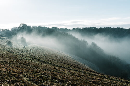 Misty morning in Winter Stroud