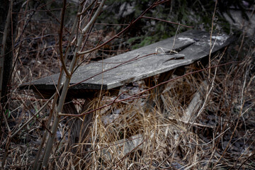Abandoned wooden bench in an old garden