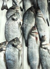 Obraz premium fresh fish sea ​​trout on the market on ice