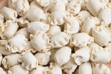 Fresh uncooked Chinese meat dumplings arranged beautifully