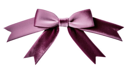 Elegant purple velvet bow with flowing ribbons